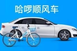 [8分钟教程]平顶山市公司电话_哔哩哔哩-3